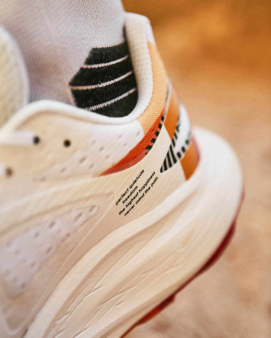 ciele athletics - Glide Max TR - Salomon  x Ciele - Distance Nirvana - 12